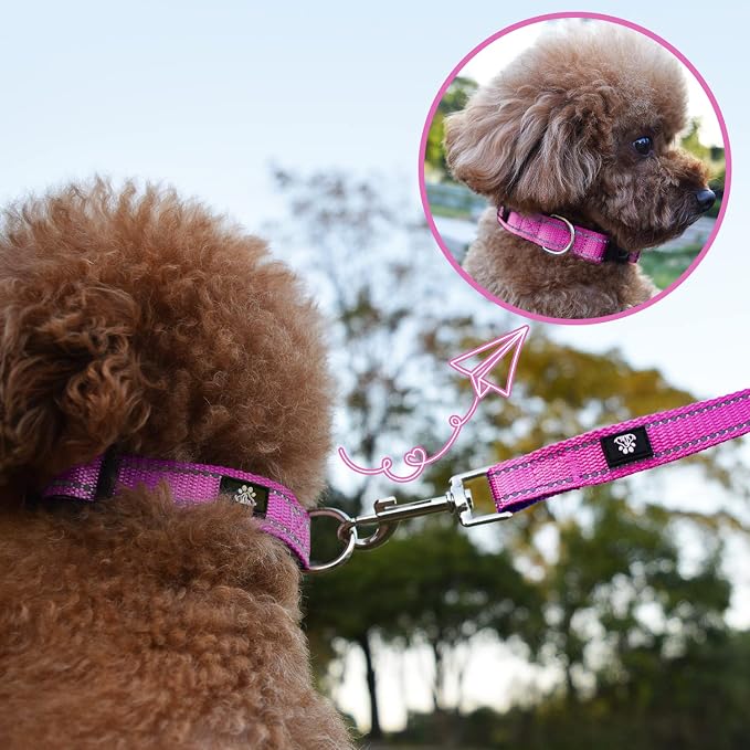 NESTROAD Dog Collar and Leash Set,Reflective Dog Collars with Quick Release Buckle,Adjustable Nylon Pet Collar for Small Medium Large Dogs(Small,Fuchsia Pink)