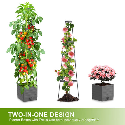 2 Pack Raised Garden Bed Tomato Planter with Trellis, 57" Tomato Cage Plant Support Planters, Self-Watering Planter for Tomatoes Climbing Plants Vegetable Vine Flowers Outdoor & Indoor