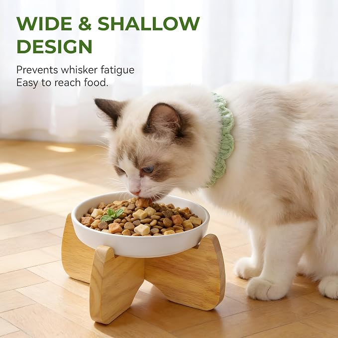 Raised Ceramic Cat Bowls 6.3" Flat & Slow Feeder Bowl (One of Each) | Anti-Gulping & Keep Fit, Water Bowl & Food Bowl, Dishwasher Safe, Neck Protective, Anti Whisker Fatigue