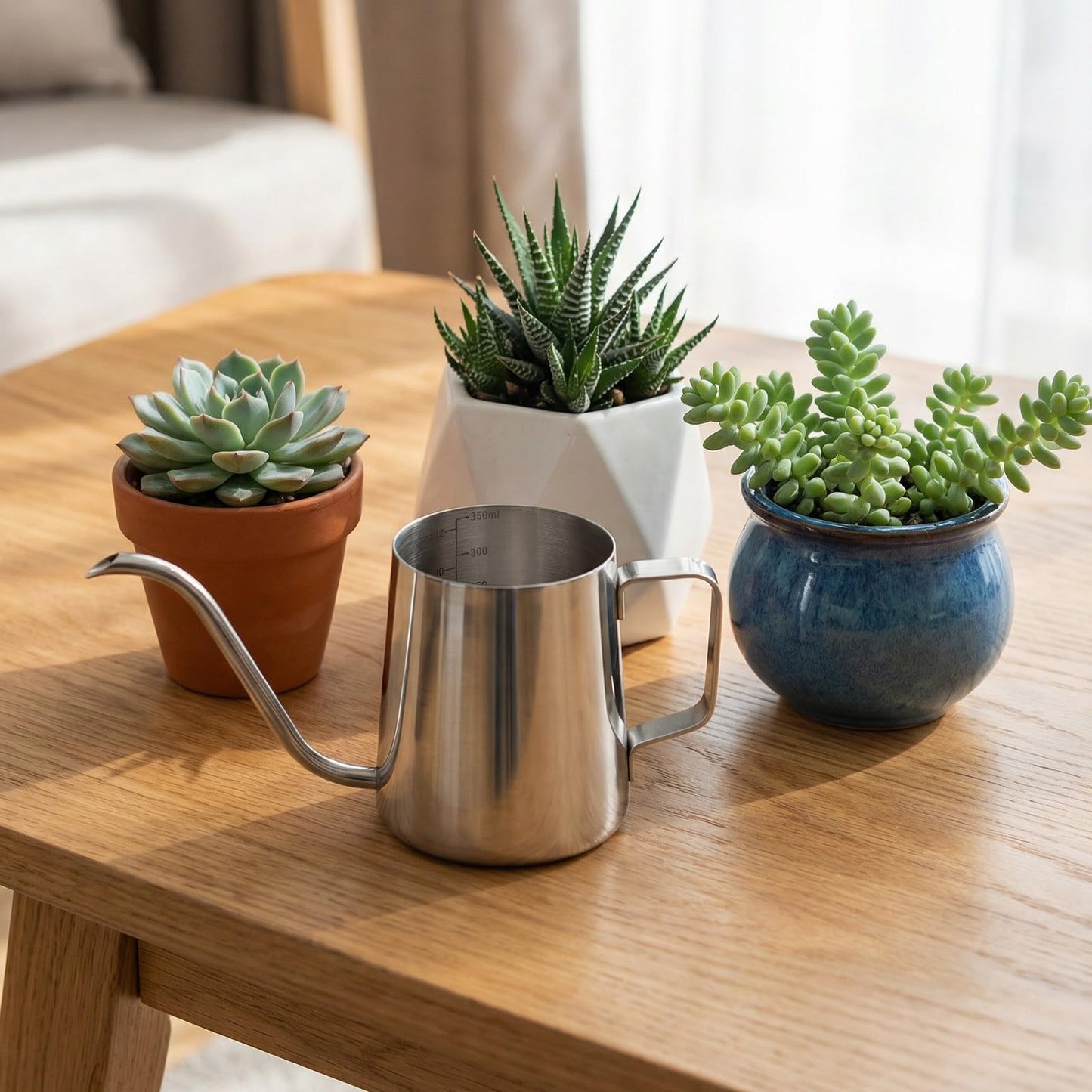 350ml Small Watering Can for Indoor Plants, 12oz Mini Plant Watering Pot with Long Spout and Handle, Silver Tiny Stainless Steel Watering-Can for Outdoor Indoor Plants Flower Garden