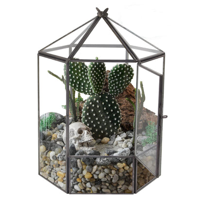 ELEGANTLIFE Glass Geometric Plant Terrarium,Succulent & Air Planter for Home Garden Office Decoration,No Plants(Black Hexagonal)