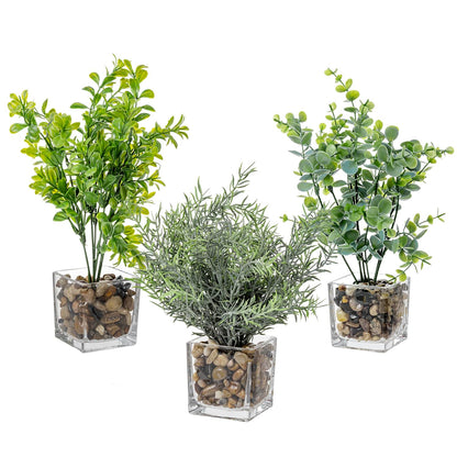 MyGift Artificial Rosemary Eucalyptus and Boxwood Plants Potted in Clear Glass Square Pots, Assorted Faux Greenery Indoor Home Table Centerpiece Office Desk Decor, 3 Piece Set