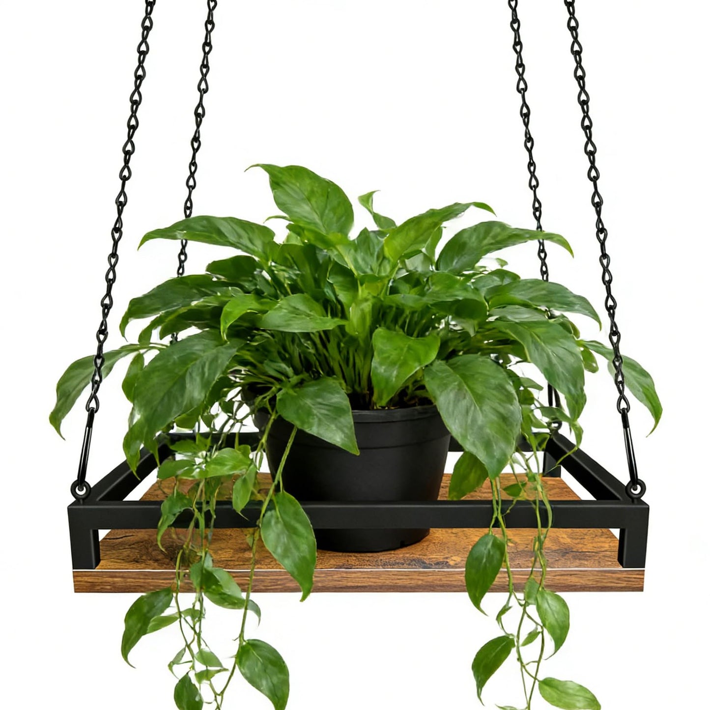 Plant Hanger Indoor, 11.8" Wooden Hanging Plant Holder with Metal Frame Hanging Planter for Indoor Plants Load 50LB Hanging Plant Shelf with 27.6" Long Chain, Ideal for Heavier Pots Window Ceiling