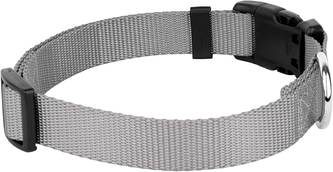 Country Brook Petz - Everyday Nylon Dog Collar and Leash - 10+ Cool Colors (3/8 Inch, Extra Small, Silver)