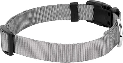 Country Brook Petz - Everyday Nylon Dog Collar and Leash - 10+ Cool Colors (3/8 Inch, Extra Small, Silver)