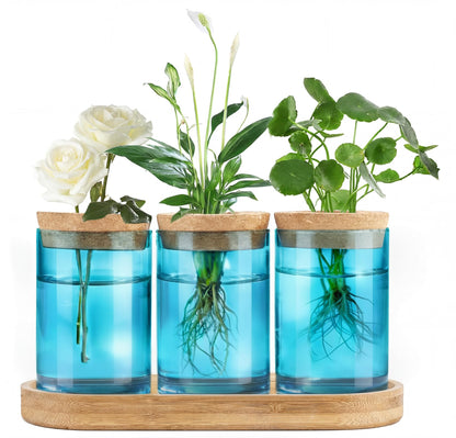 Dahey Blue Plant Propagation Terrarium Desktop Glass Planter Station Water Planting Glass Vase with Lid and Wooden Stand for Propagating Hydroponic Plants Centerpiece Office Home Garden Decor, 3 Pcs