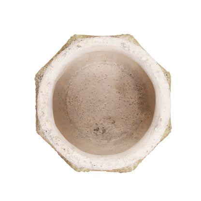 Ancient Leaf Cement Flower Pot (Set of 2)