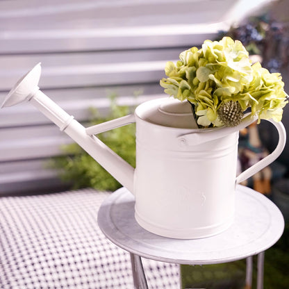 Annie Garden 1 Gallon Metal Watering Can for Indoor Plants Outdoor Plants, Large Water Can, Garden Water Can for Kids, Detachable, Water Can with Handle, White