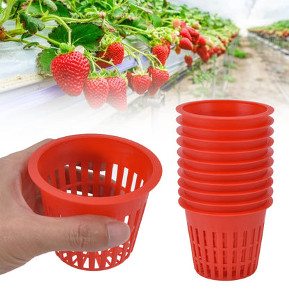 Hydroponic Baskets, 10PCS Plastic Hydroponic Cups, 3 3 in Red Soilless Root Fixer Containers Cups, Round Mesh Pot Net Basket for Garden Balcony Flowers Planting Cultivation