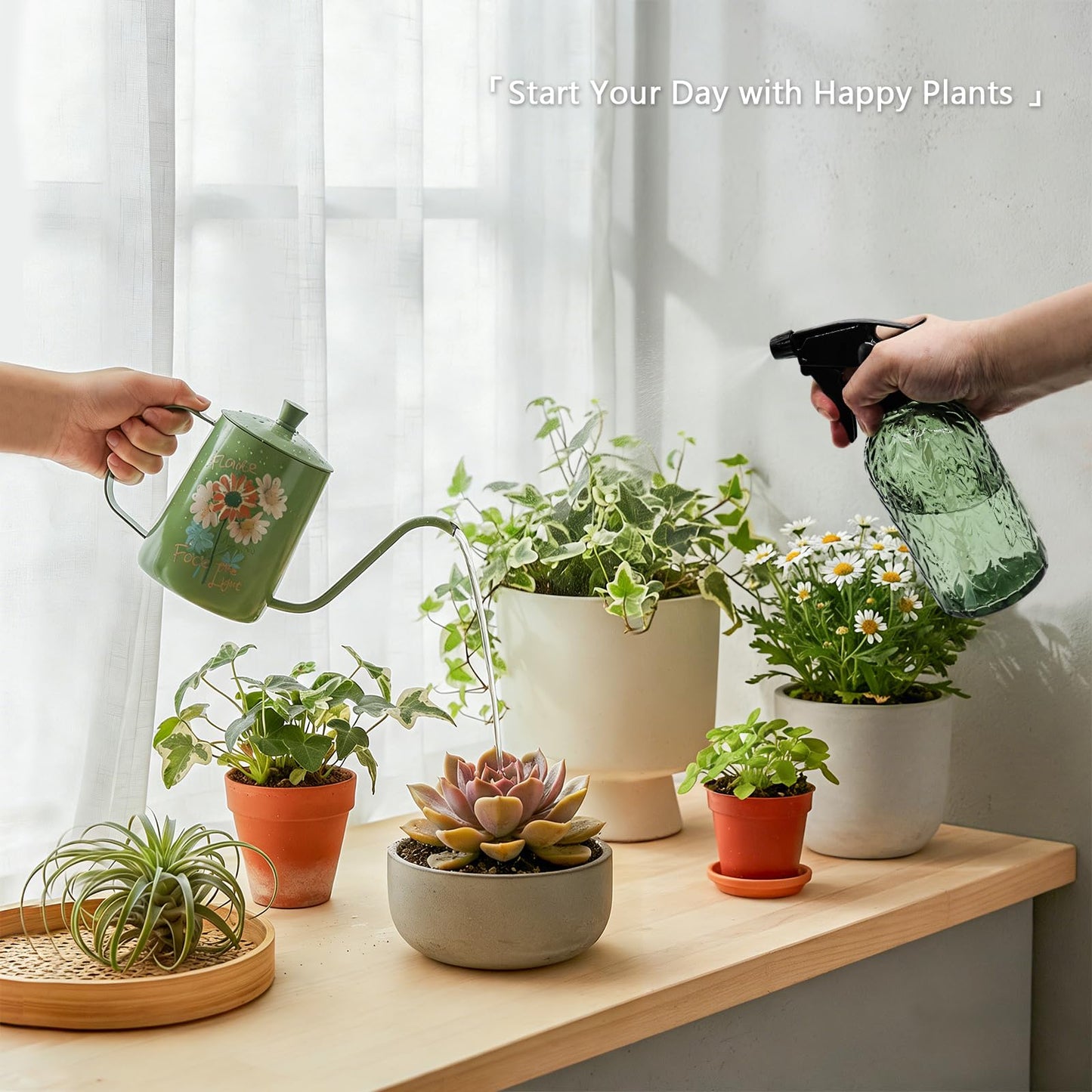 OFFIDIX Watering Can for Indoor Plants,Long Spout Metal Stainless Steel 21 oz Small Indoor Plant Watering Can with 14 oz Glass Plant Mister Spray Bottle for Inside