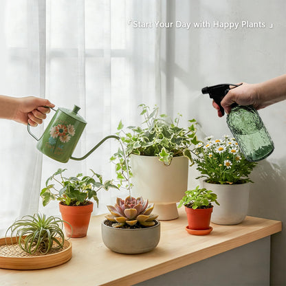 OFFIDIX Watering Can for Indoor Plants,Long Spout Metal Stainless Steel 21 oz Small Indoor Plant Watering Can with 14 oz Glass Plant Mister Spray Bottle for Inside