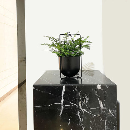 JUSUFU Metal Plant Hanger,Hanging Planters Indoor Hanging Flower Pots (Black)