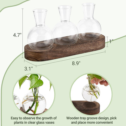 Mkono Desktop Plant Propagation Station Glass Planter Terrarium with Wooden Tray Bulb Flower Vase Perfect for Propagating Hydroponic Plants Home Office Decor Plant Lover Gift Idea