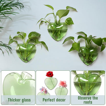 CYZglass Wall Hanging Planter Propagation Station for Indoor Plants Glass Vase Air Plant Holder Gift for Women Girlfriend Plant Lover