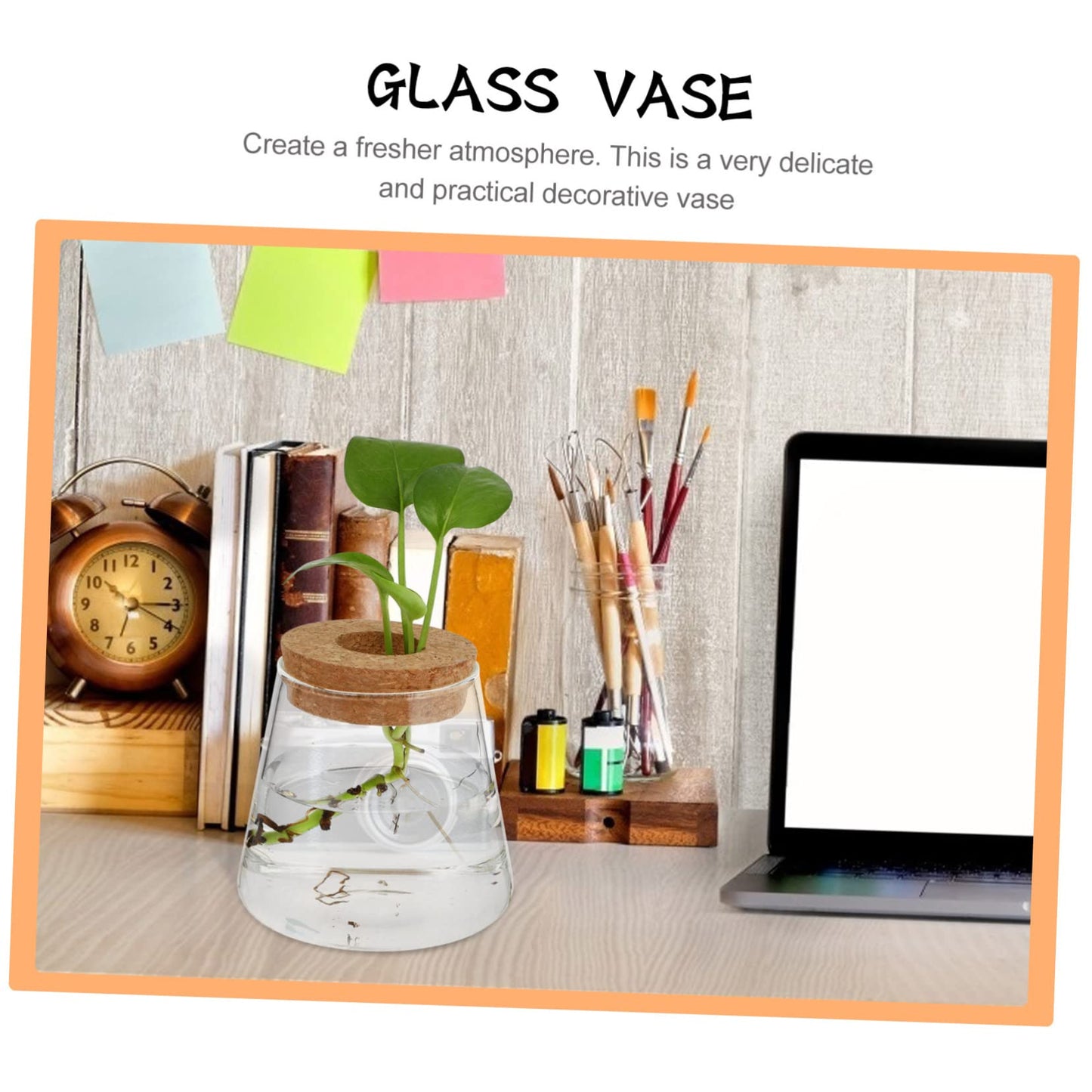 INOOMP 2Pcs Hydroponics Glass Vase for Plants Clear Smooth Terrarium Planter Home Decoration for Office and Events