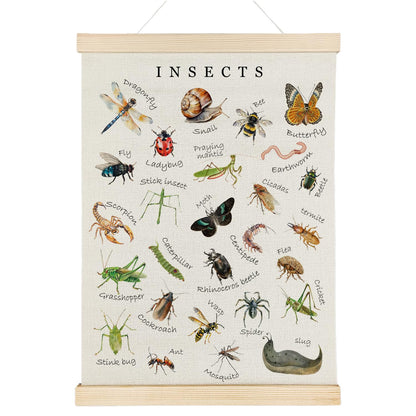 Nrleey Insects Poster Hanger Frame - Educational Wall Art, Kids Room Nursery Classroom Decor, 12x16 Inches