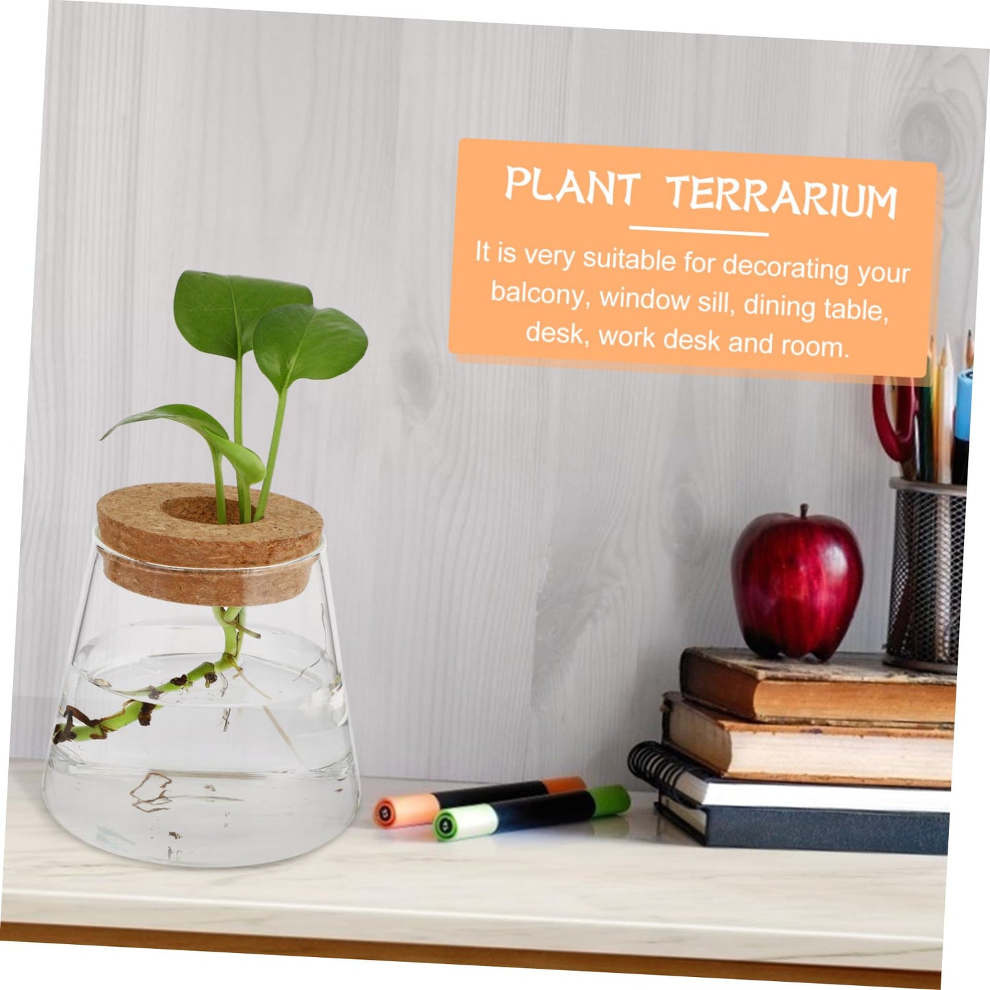 MAGICLULU 2Pcs Glass Terrarium for Hydroponics Plants Desktop Vases with Smooth Glass Craftsmanship Stylish Plant Propagation Jars for Home Office Decoration