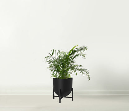 Olly & Rose Plant Pot with Plant Stand - Metal Plant Pots Indoor Planter 22cm Large Flower Pot (Black)