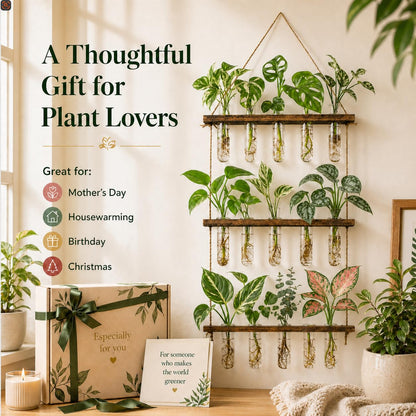 Monsiter QE 3 Tier Wall Hanging Propagation Stations with 15 Glass Test Tubes, Plant Terrarium Propagation Tubes Planter for Hydroponic Cuttings, Window Decor Gift for Plant Lovers