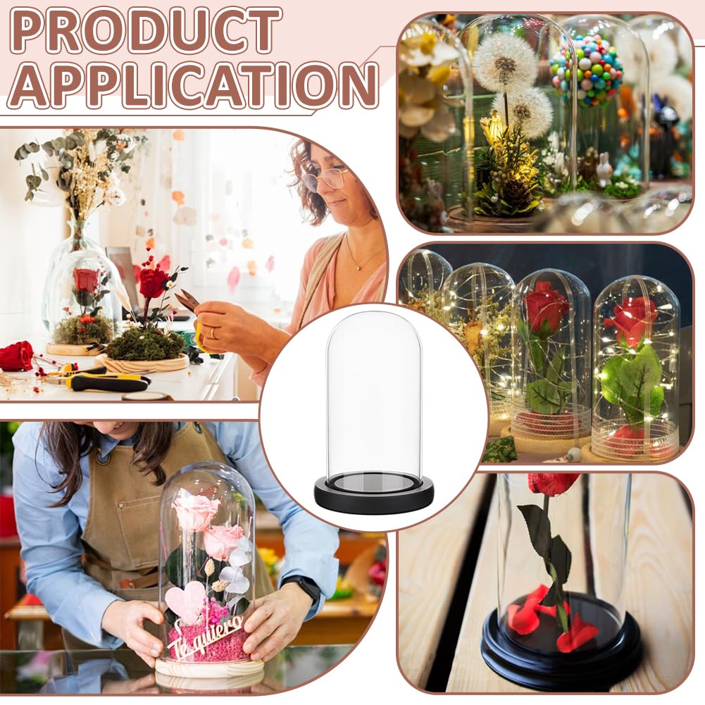 BENECREAT Glass Cloche Dome with Wood Base, 6.18x2.99inch Arch Display Dome for Plants and Collectibles, Complete Set Glass Bell Jar with Solid Wood Stand for Home Decor, Black