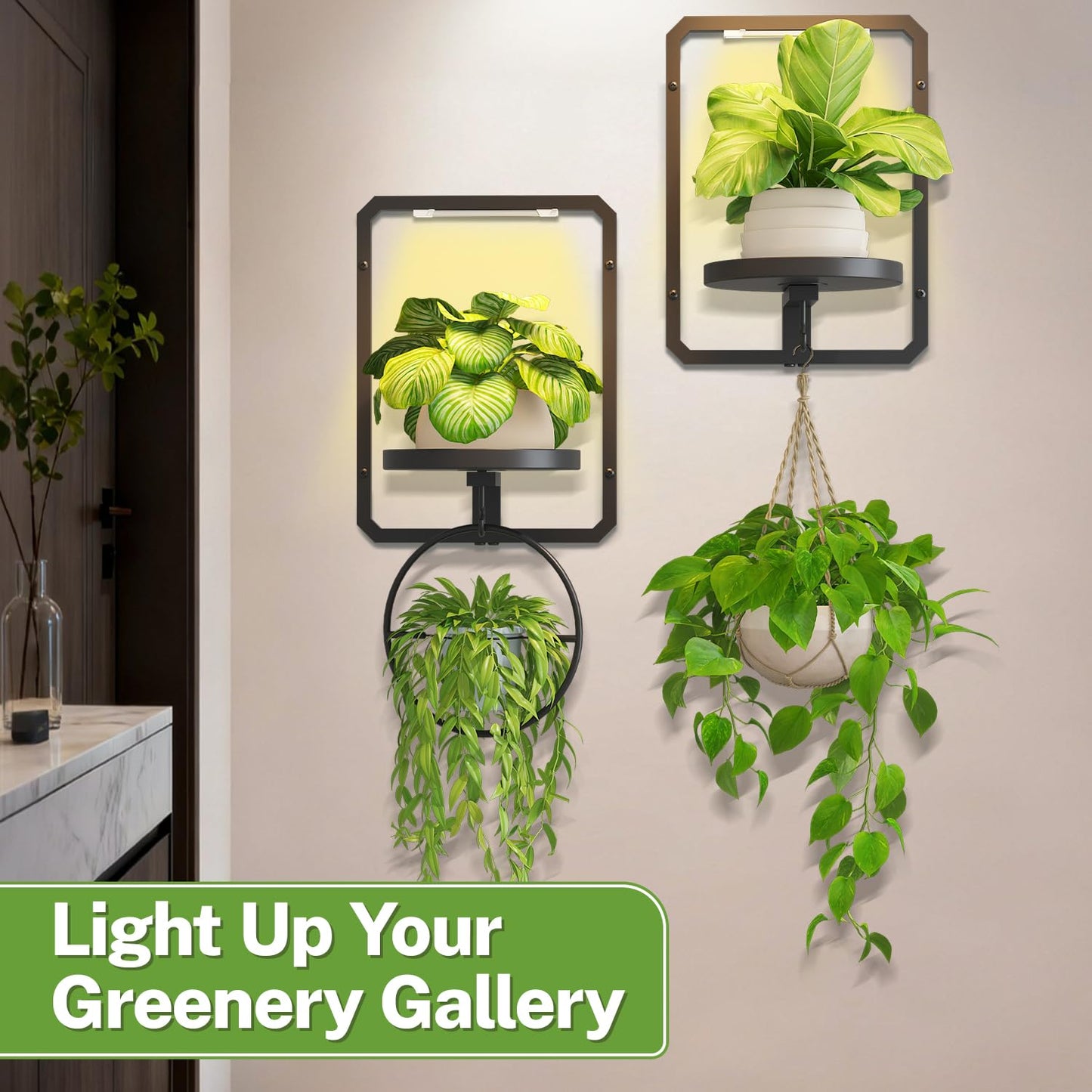 iDavosic.ly Wall Plant Picture Frame Holder Set of 2 with 2 Grow Light for Indoor, Metal Stand with Hanging Hooks, Space Saving Floating Flower Display Decor (Pots/Chains/Plants Not Included)