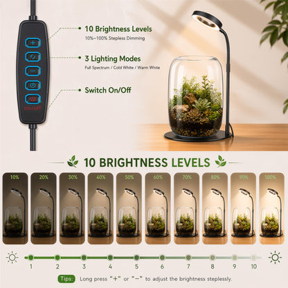 Yeeweek 5X Aperture Grow Light for Indoor Plants, Mini Desk Grow Light with Glass Terrarium for Small Plants, Succulents & Moss, Height Adjustable Plant Growing Lamp for Home Office Gift