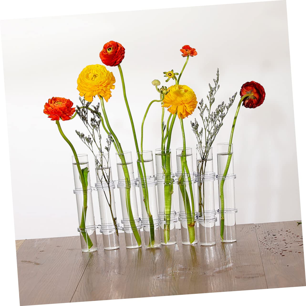VICASKY Hydroponic Test Tube Vases 6-Piece Glass Plant Propagation Kit for Indoor Home Decor Wall Hanging Planter and Desktop Terrarium Arrangement