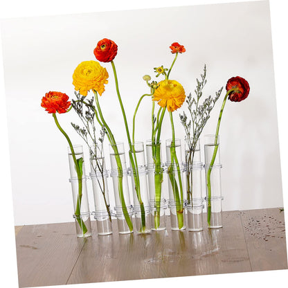 VICASKY Hydroponic Test Tube Vases 6-Piece Glass Plant Propagation Kit for Indoor Home Decor Wall Hanging Planter and Desktop Terrarium Arrangement
