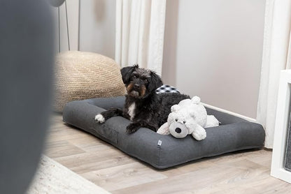 TRIXIE Elroy The Bear Plush Dog Toy, All Breeds 16.5"