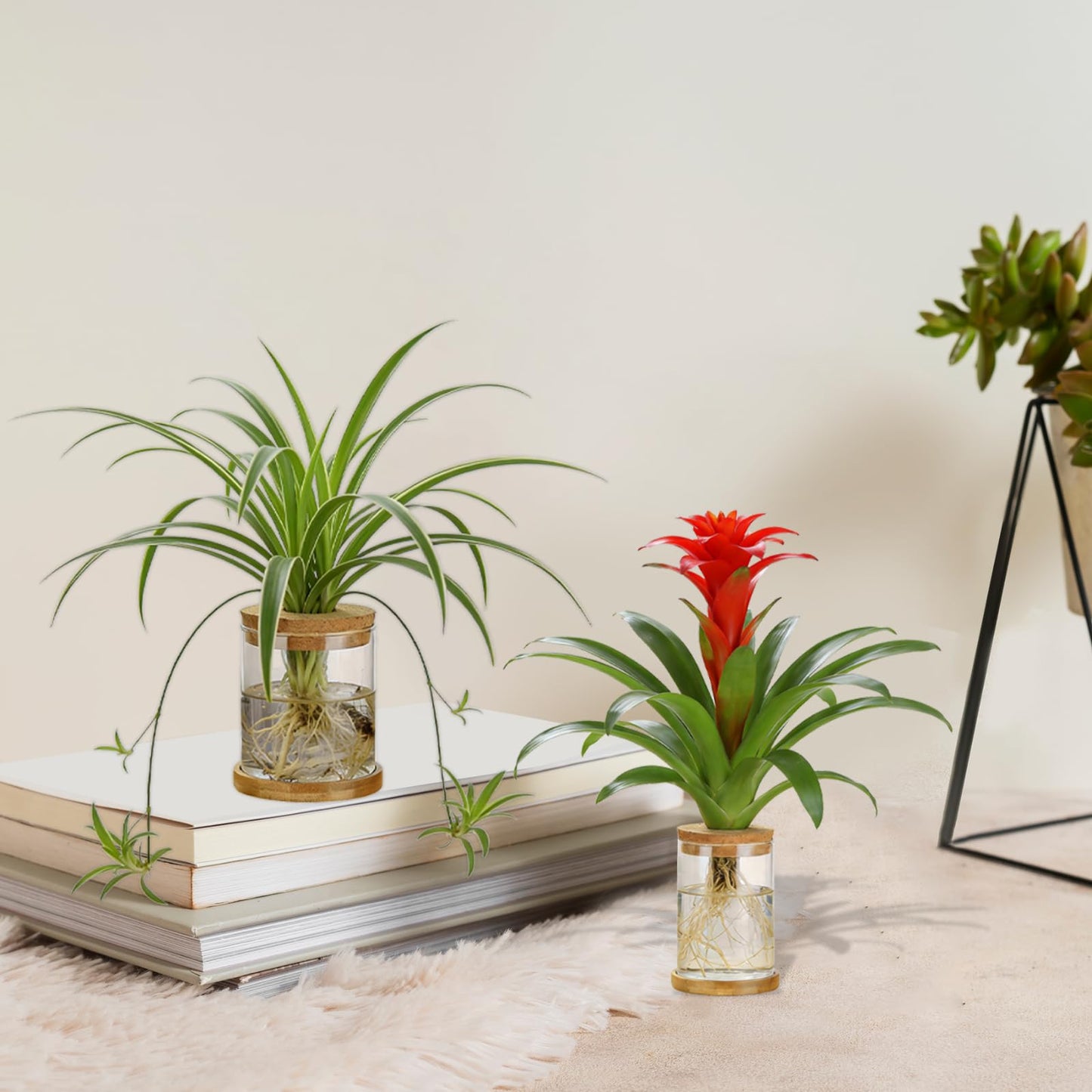 SPRFAIRY 4 Set Glass Plant Propagation Station for Plants - 2 Large & 2 Small for Plant Cuttings Hydroponic Vases with Lid & Bamboo Stand Desktop Propagation Vases for Living Room, Bedroom, Office