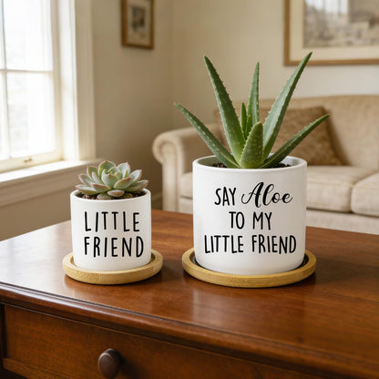 Msyueos Say Aloe to My Little Friend Planter Pot, Funny Plant Pots, Aloe Plant Pot Succulent Pots with Tray Set of 2 Flower Pots Indoor Pot - Without Plants, Office Home Windowsill Gifts (No Plant)