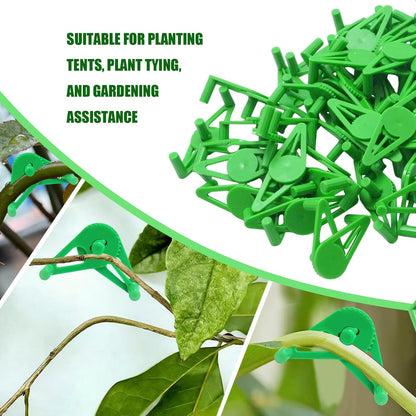 AXGSRV 50 PCS Adjustable Plant Training Clips, Green Low Stress Support Clips for Stem Bending, Ideal for Grow Tents and Gardening
