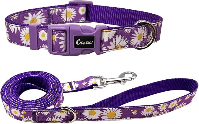Dog Collar Leash Set, Floral Pattern, Nylon Webbing Plus Cotton Ribbon, 5ft Matching Leash, for Large Dogs.(L, Purple Daisy)