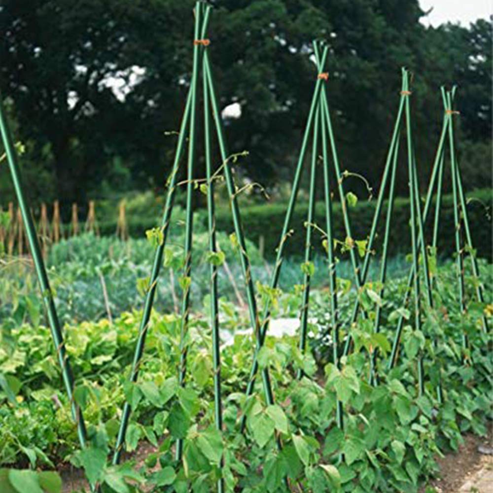 Growsun Tomato Stakes 5ft Metal Plastic Coated Garden Stakes Plant Cage Supports Treills Climbing for Tomatoes,Trees,Cucumber,Fences,Beans,25 Pack