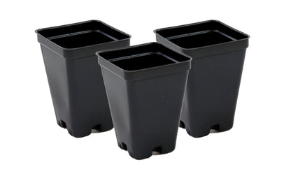 2.5 inch Square Greenhouse Pots - Black - Plastic - Deep - 25 Pack by Growers Solution