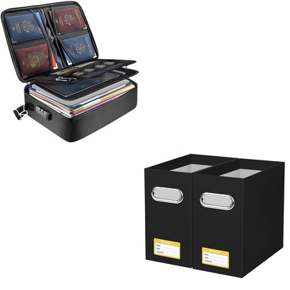 BALEINE Fireproof Ducument Bag + File Organizer 2 Pack