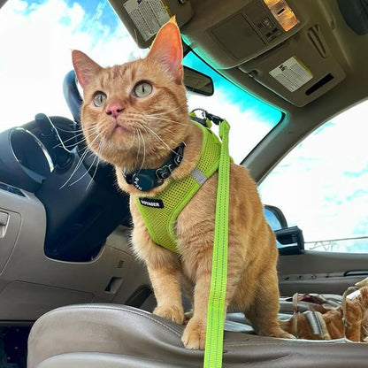 Best Pet Supplies Voyager Step-in Air All Weather Mesh Harness and Reflective Dog 5ft Leash Combo with Neoprene Handle, for Small, Medium and Large Breed Puppies - Lime Green, XXX-Small