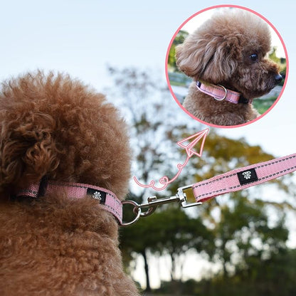 NESTROAD Dog Collar and Leash Set,Reflective Dog Collars with Quick Release Buckle,Adjustable Nylon Pet Collar for Small Medium Large Dogs(Large,Pink)
