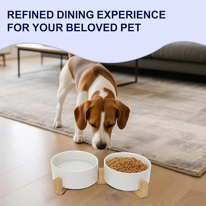 Dog Food Bowl, 13.5 oz Ceramic Modern Design, Dog Water and Food Bowl with Wood Stand, for Puppy & Cat, Non-Slip Feeding Station with Weighted Base, White