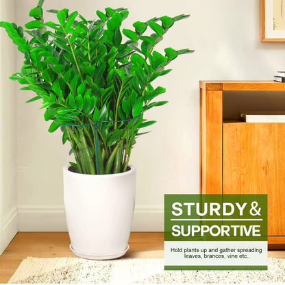 LEOBRO 6 Pack Plant Support Plant Stakes, Peony Cages and Supports, Metal Garden Stakes Plant Supports, Plant Support Stakes for Peony, Tomato, Hydrangea, Indoor Outdoor Plants, 10" W x 15.8" H