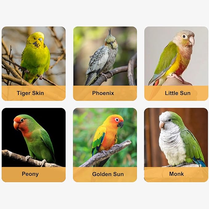 Bird Flying Harness - Parrot Rope, Comfortable Foot Loop, Strong Elastic Lead | Secure Outdoor Leashes for Conure Cockatoo Budgies Parakeet Macaw Parrotlet Daily Flying Training Walking Adventure