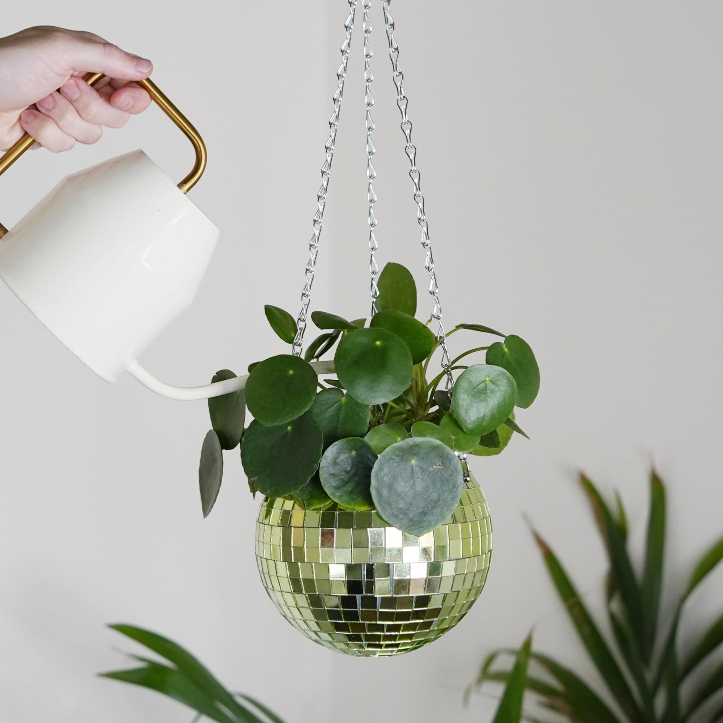 Bubblegum Stuff - Green Disco Ball Hanging Planter - 6 Inches - Hanging Planters - Indoor Plants - Available in Multiple Different Sizes - Great Gift for Plant Lovers!