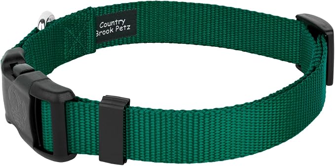 Country Brook Petz - Deluxe Nylon Dog Collar and Leash - 10+ Cool Colors (3/4 Inch, Small, Green)