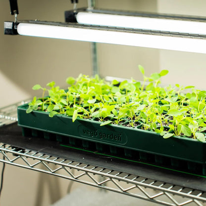 Vego garden 2 Set 76 Cells Seed Starter 10" x 20" Tray Stackable Seedling Starting Germination Trays for Plants Planting Vegetables Herbs Flowers,