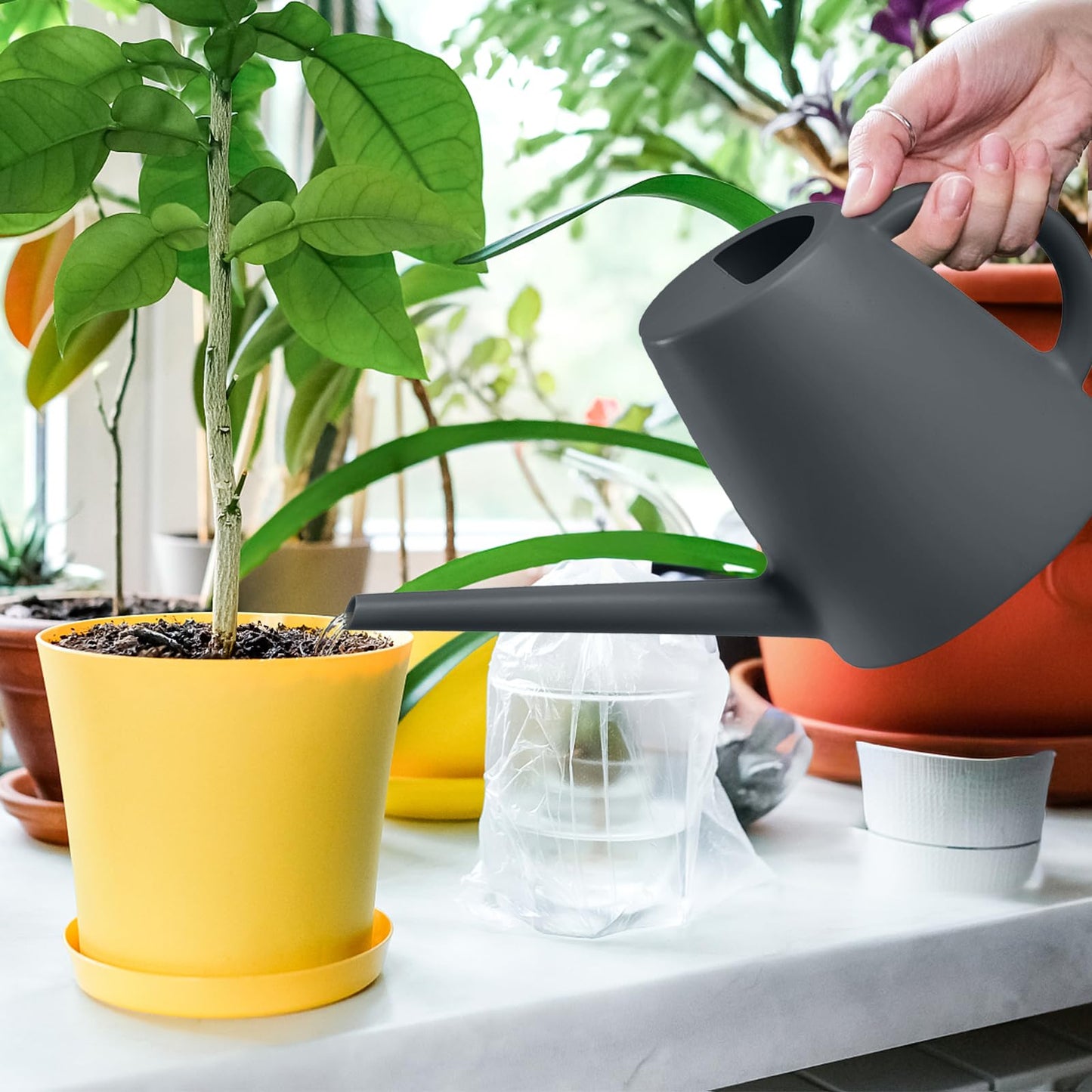 TEIUKAX Indoor and Outdoor Watering Can - Long Spout -1/2 Gallon (64oz) - Grey