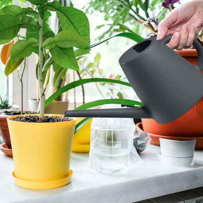 TEIUKAX Indoor and Outdoor Watering Can - Long Spout -1/2 Gallon (64oz) - Grey