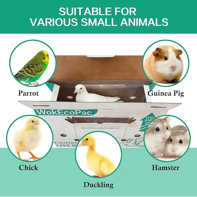 6 Pack Single Live Bird Shipping Boxes, Live Chicken Shipping Boxes, Poultry Shipping Boxes has Ventilation Openings, Cardboard Pet Carrier for Chicken, Bird, Duck, Pigeons, Canaries 17.7x7.8x11.8 in