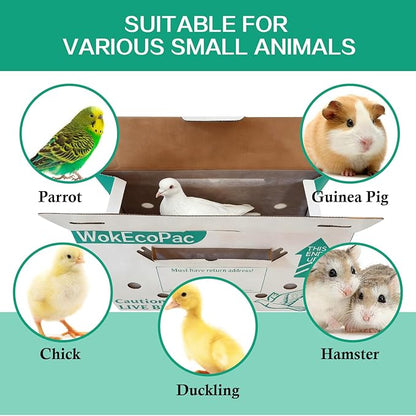 6 Pack Single Live Bird Shipping Boxes, Live Chicken Shipping Boxes, Poultry Shipping Boxes has Ventilation Openings, Cardboard Pet Carrier for Chicken, Bird, Duck, Pigeons, Canaries 17.7x7.8x11.8 in
