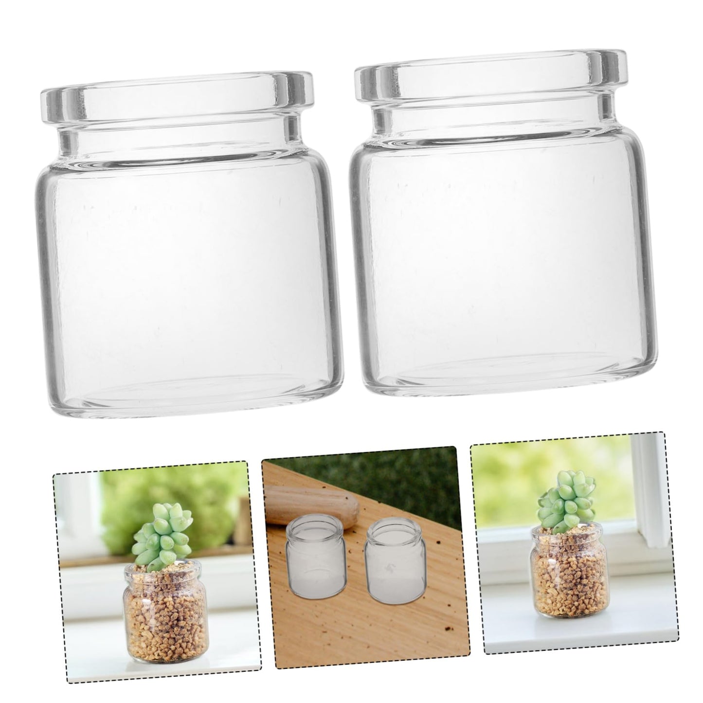 POPETPOP 10pcs Mini Succulent Glass Bottle Landscape Bottle Decoration Terrarium for Air Plants Test Tube Vials Micro Landscape Eco