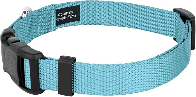 Country Brook Petz - Everyday Nylon Dog Collar and Leash - 10+ Cool Colors (1 Inch, Extra Large, Ocean Blue)